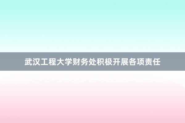 武汉工程大学财务处积极开展各项责任